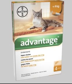 Advantage 40 Vlooiendruppels Kat Tot 4 Kg - 4 Pipetten