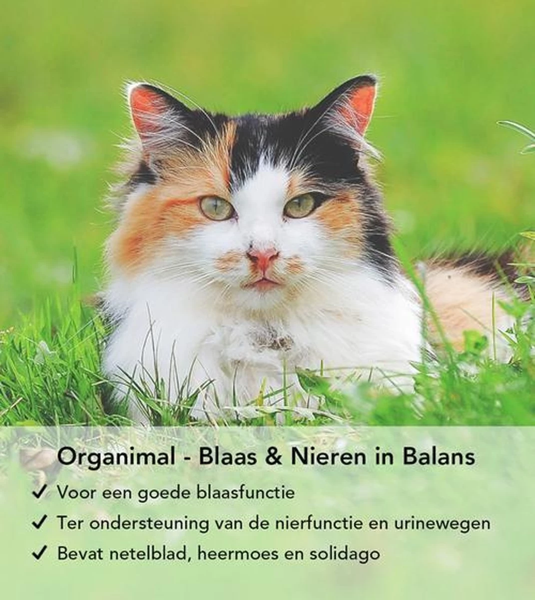 Organimal - Blaas En Nieren In Balans - Kat - O.a. Bij Blaasontsteking En Blaasgruis - 45 Tabletten A 700mg - Afbeelding 3