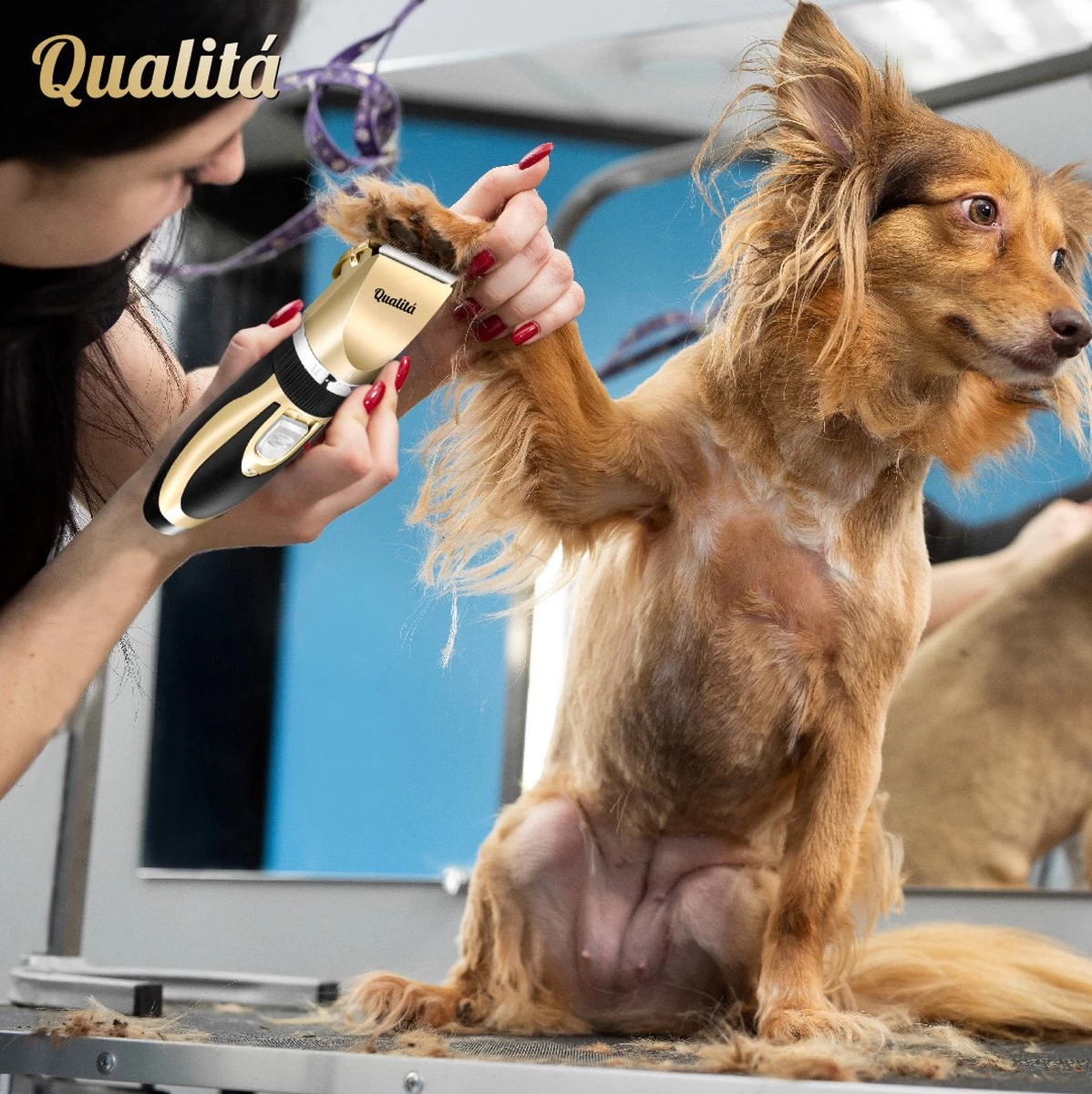 Merkloos Professionele Honden Tondeuse Set - Tondeuse Voor Huisdier Honden En Katten - Hondentrimmer - Hondentondeuse - Afbeelding 4