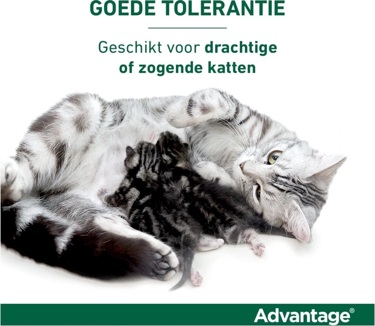Bayer Anti Vlooienmiddel Advantage 80 > 4 Kg - 4 X 0,8 Ml - Afbeelding 12