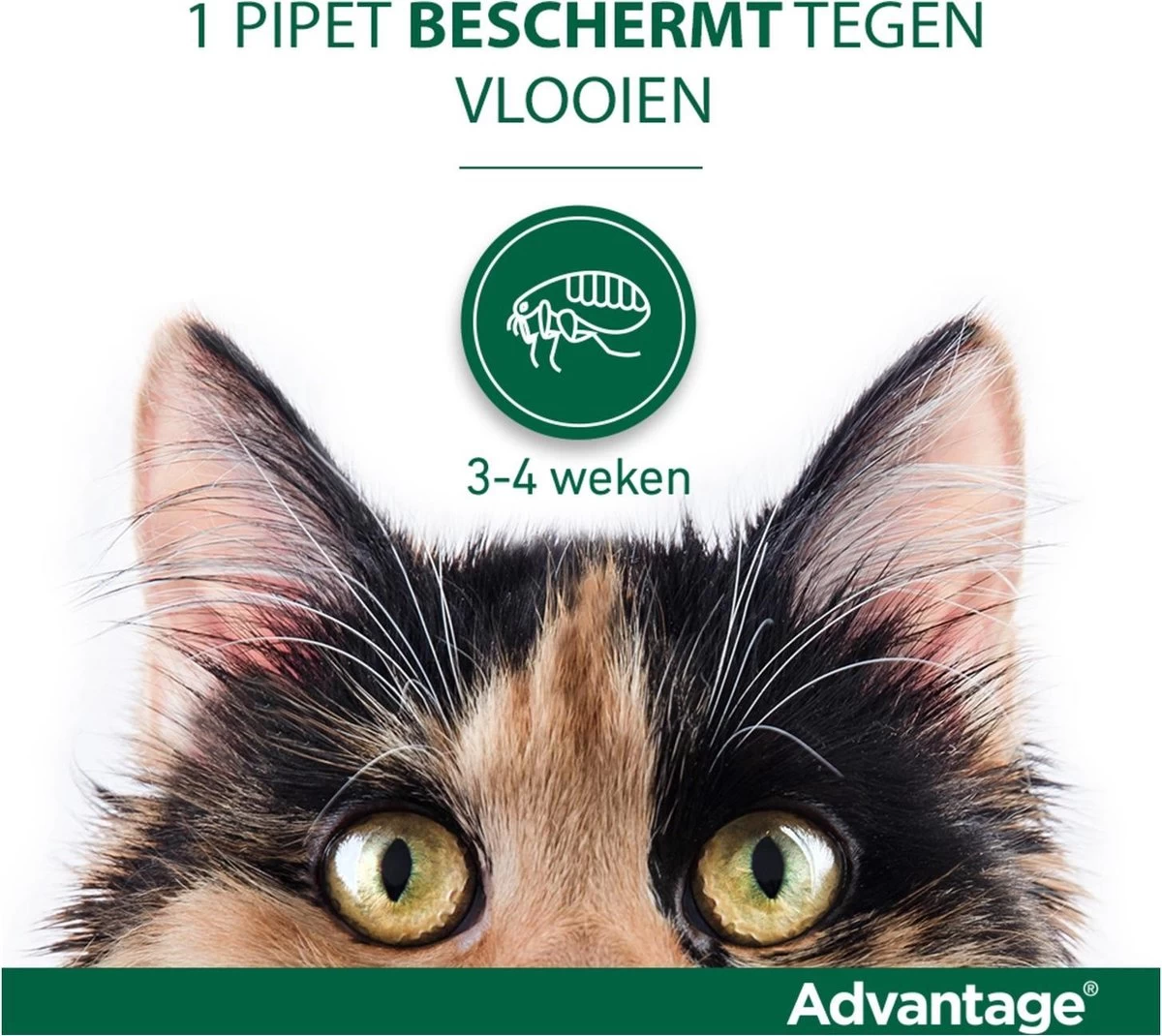 Bayer Anti Vlooienmiddel Advantage 80 > 4 Kg - 4 X 0,8 Ml - Afbeelding 10