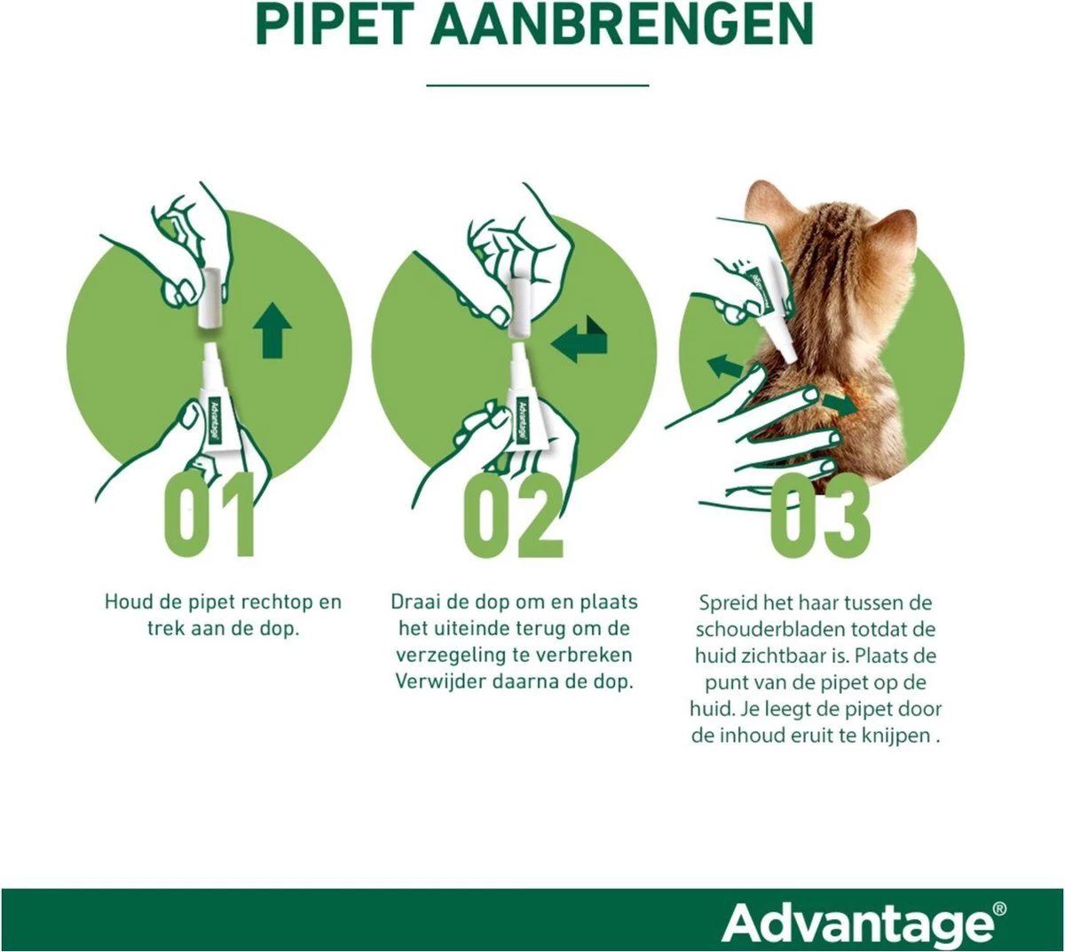 Bayer Anti Vlooienmiddel Advantage 80 > 4 Kg - 4 X 0,8 Ml - Afbeelding 9