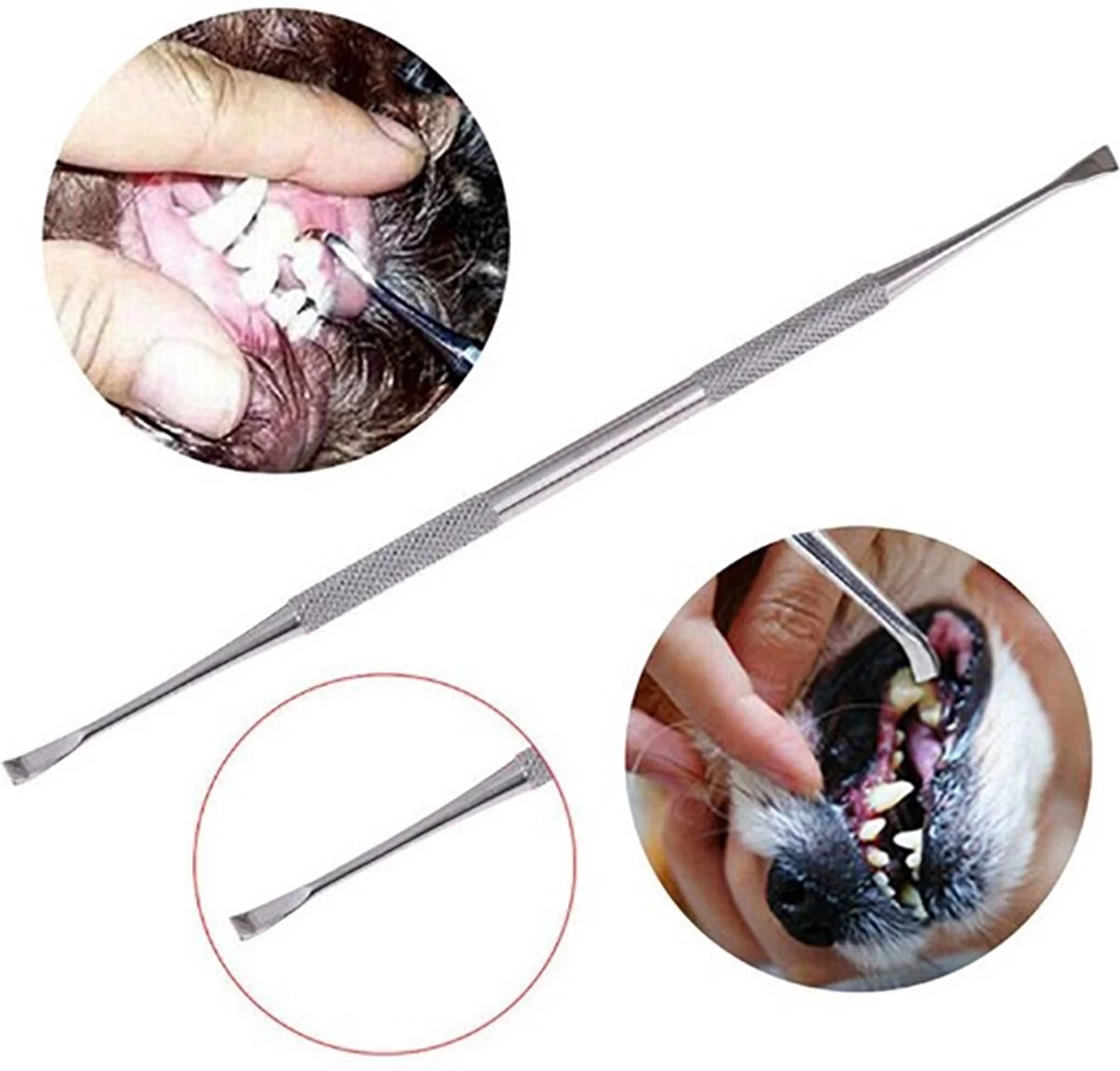 Pro3000 Ultra Q Tandsteen Verwijderaar Hond - Set Van 2 - Tandplak - Afbeelding 2