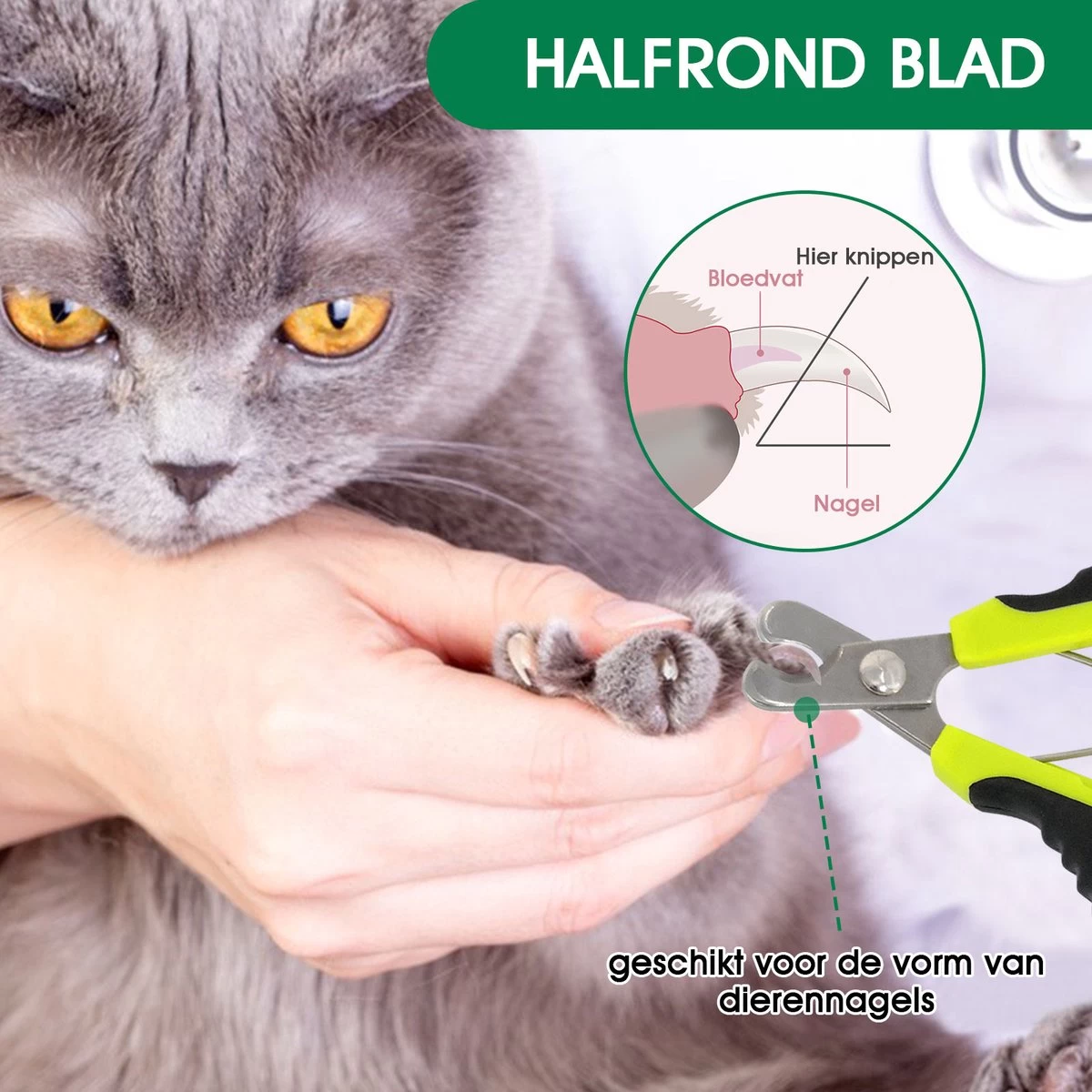 Mister Mill Nagelknipper Kat - Nagelschaar - Kleine Hond (Max. 10 Kg.) Vogel En Knaagdier - Afbeelding 2