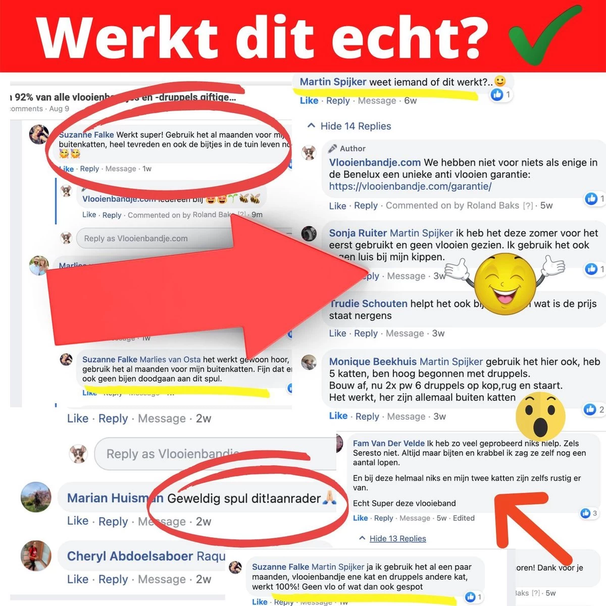 Natuurlijke Vlooiendruppels Voor Katten - Vanaf 4 Kg - 100% Natuurlijk - Vlooien - Zonder Giftige Pesticiden - 30 Ml - Speciale Formule Voor Katten - Vachtdruppels - Made In Holland - Afbeelding 6