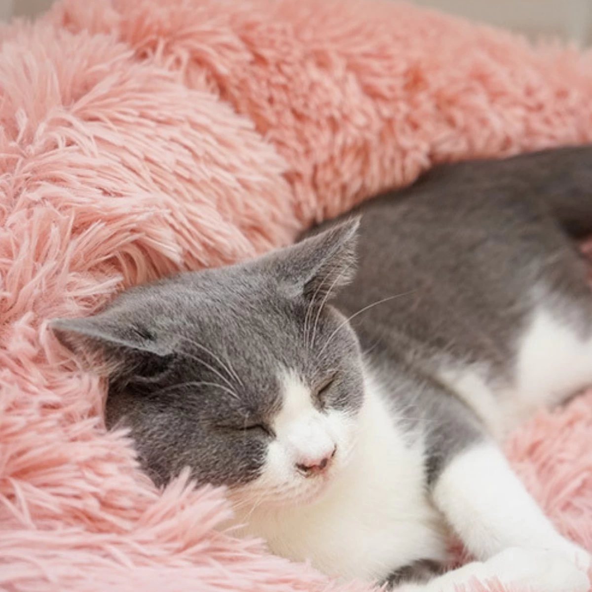 Topmast Fluffy Donut - Dierenmand - Donut Hondenmand - Roze - 50 Cm - Afbeelding 7