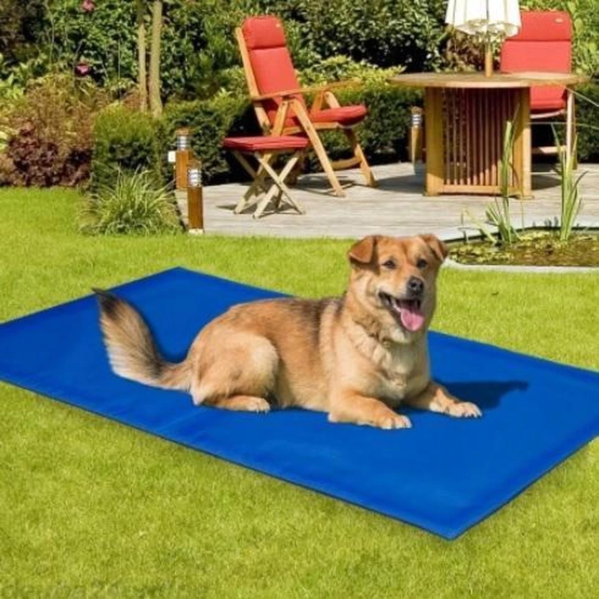 Koeling Mat Voor Huisdieren - 60 X 80 Cm - Afbeelding 4