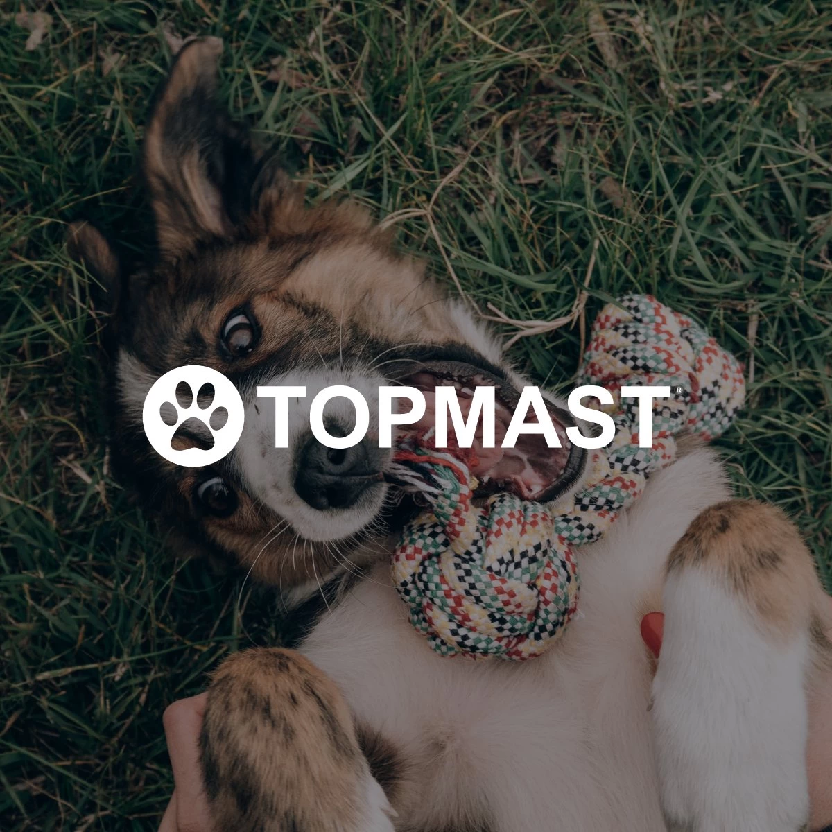 Topmast Waterproof Benchkussen - Nylon - Antraciet - 90 X 60 Cm - Benchmat - Benchmatras - Waterafstotend - Hondenkussen - Afbeelding 5