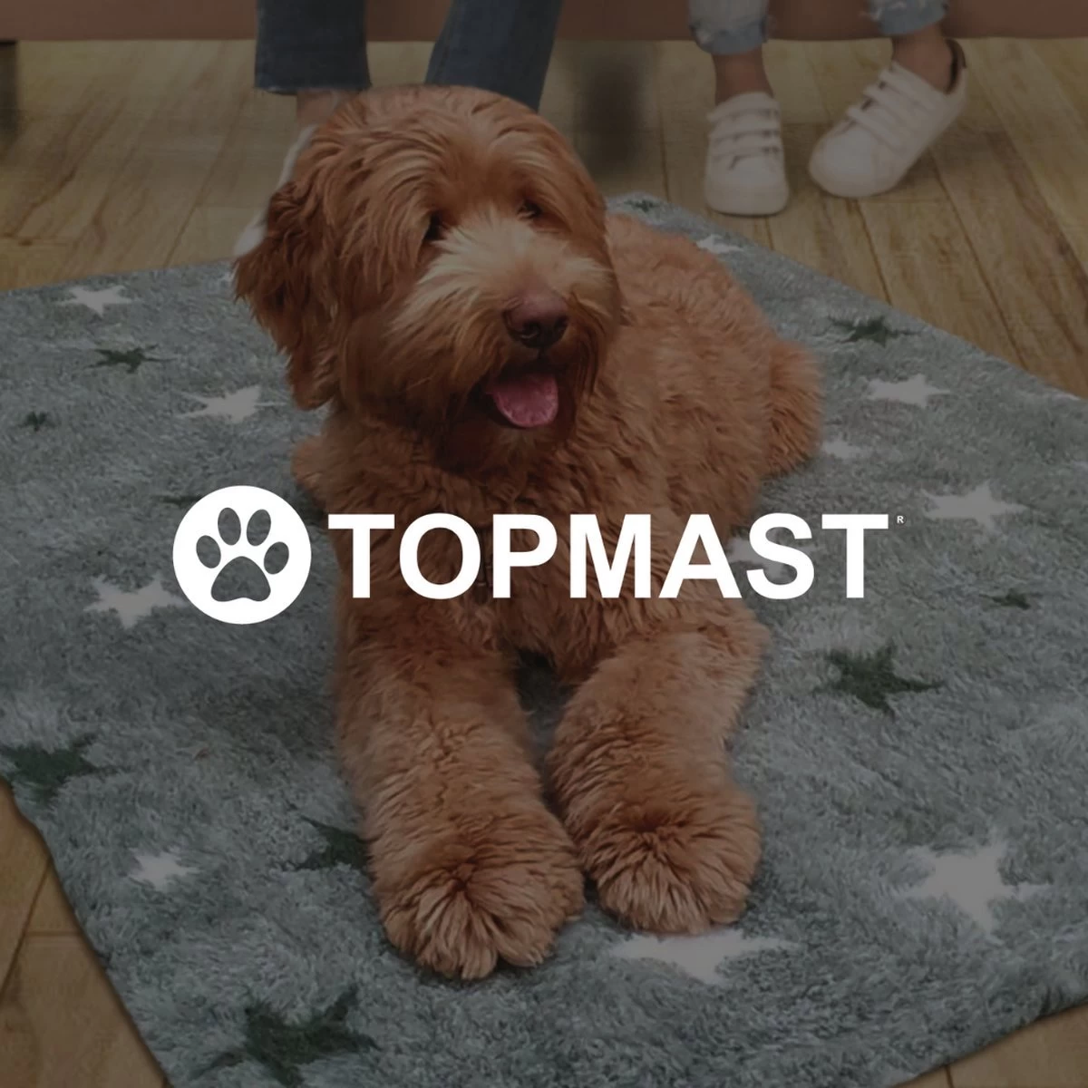 Vetbed Effen Lichtbruin - Antislip Hondenmat - 2 Stuks - 75 X 50 Cm - Benchmat - Hondenkleed - Voor Honden - Machine Wasbaar - Afbeelding 2