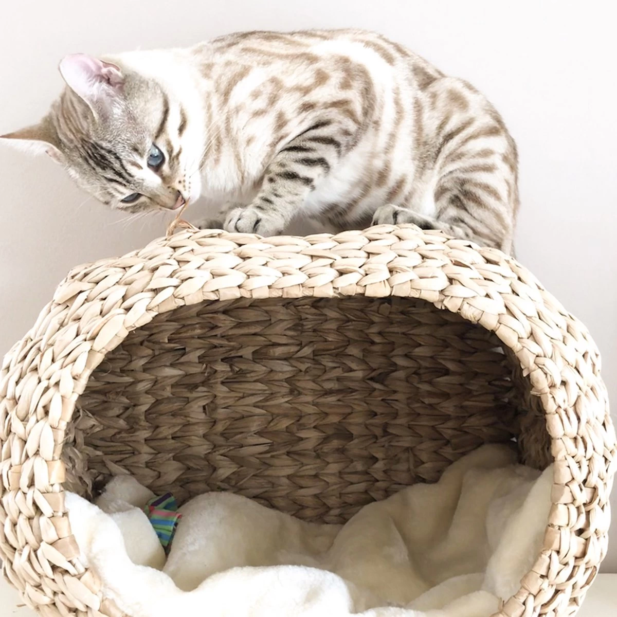 Ebi Radiator Sunrise Kattenmand - Incl. Kussen - Beige - 45 X 30 X 30 Cm - Afbeelding 4