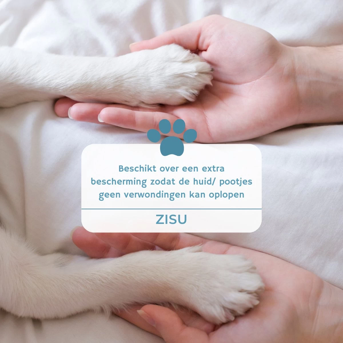 Hondentondeuse - Hondentrimmer - Dieren Tondeuse - Draadloos - 4 Opzetkammen - INCLUSIEF SNACKJE - Zwart - Afbeelding 7