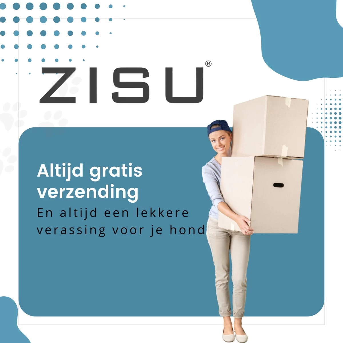 Hondentondeuse - Hondentrimmer - Dieren Tondeuse - Draadloos - 4 Opzetkammen - INCLUSIEF SNACKJE - Zwart - Afbeelding 8