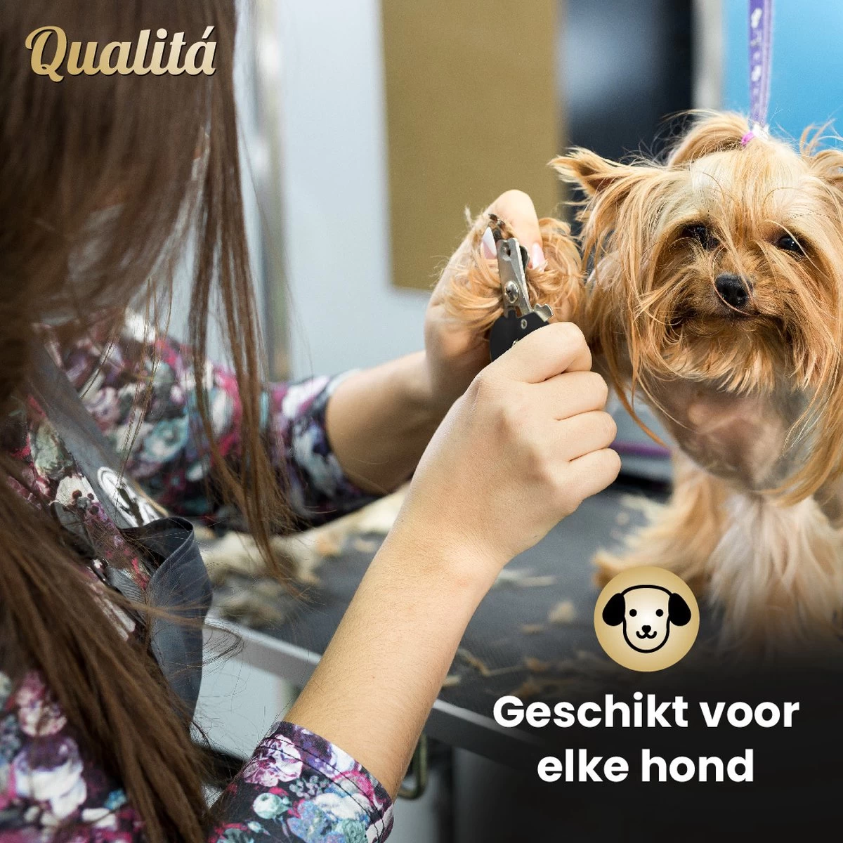Merkloos Professionele Honden Tondeuse Set - Tondeuse Voor Huisdier Honden En Katten - Hondentrimmer - Hondentondeuse - Afbeelding 3