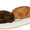 COSY AND DOZY Cat Shelf Deluxe WIT – Hangmat Kat – Maple Hout - 90 X 41 Cm - Kattenplank - Katten Muur