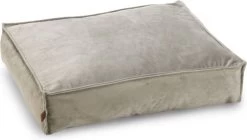 Designed By Lotte Ligkussen Hond Nalino Grijs 70 X 55 Cm - Hond