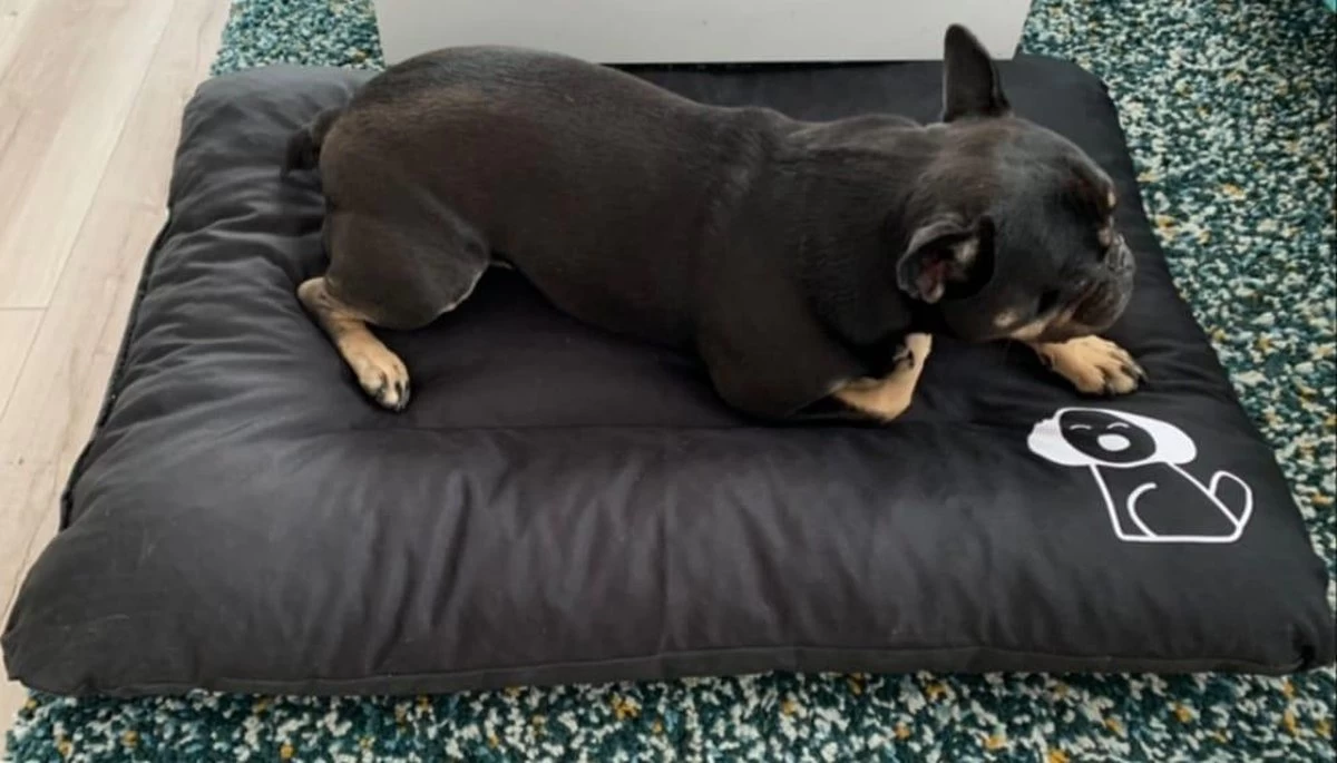 Hondenkussen XL - Donkergrijs - 60 X 90 X 12 - Afbeelding 8