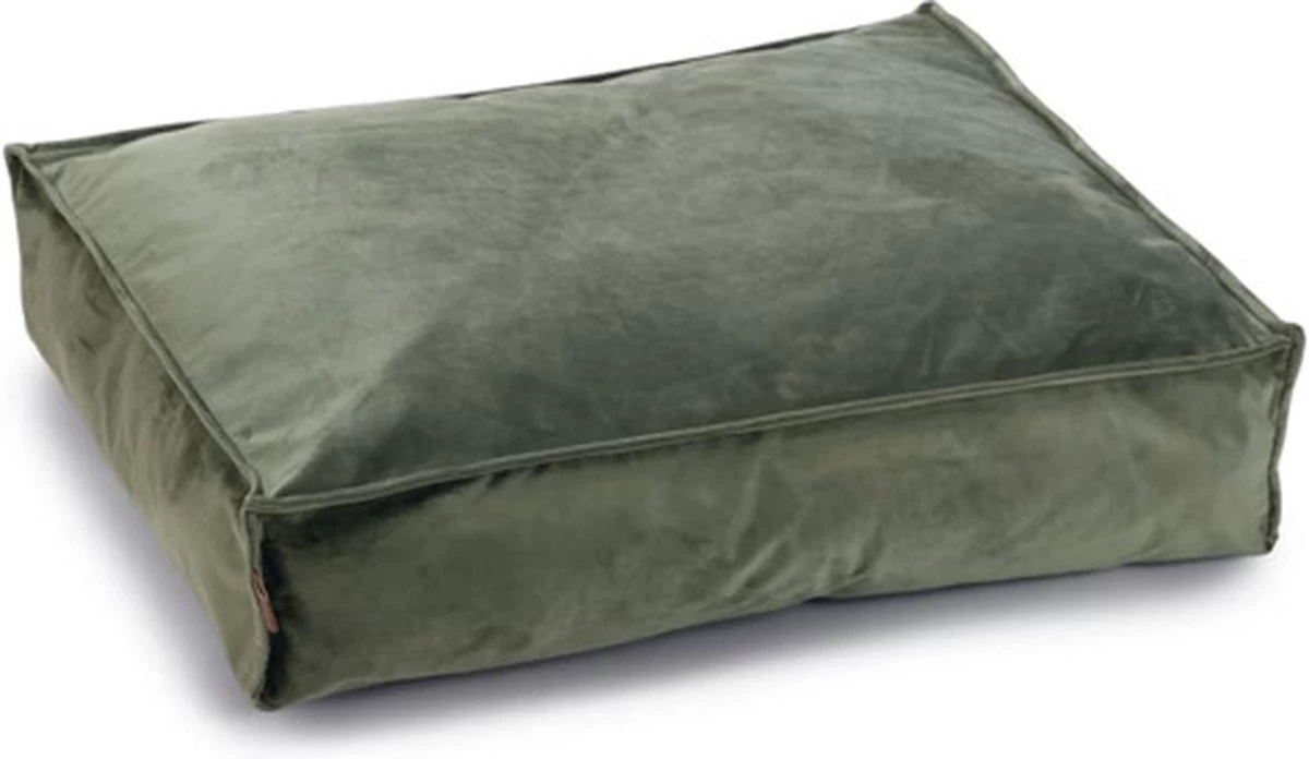 Designed By Lotte Ligkussen Hond Nalino Groen 70 X 55 Cm - Hond