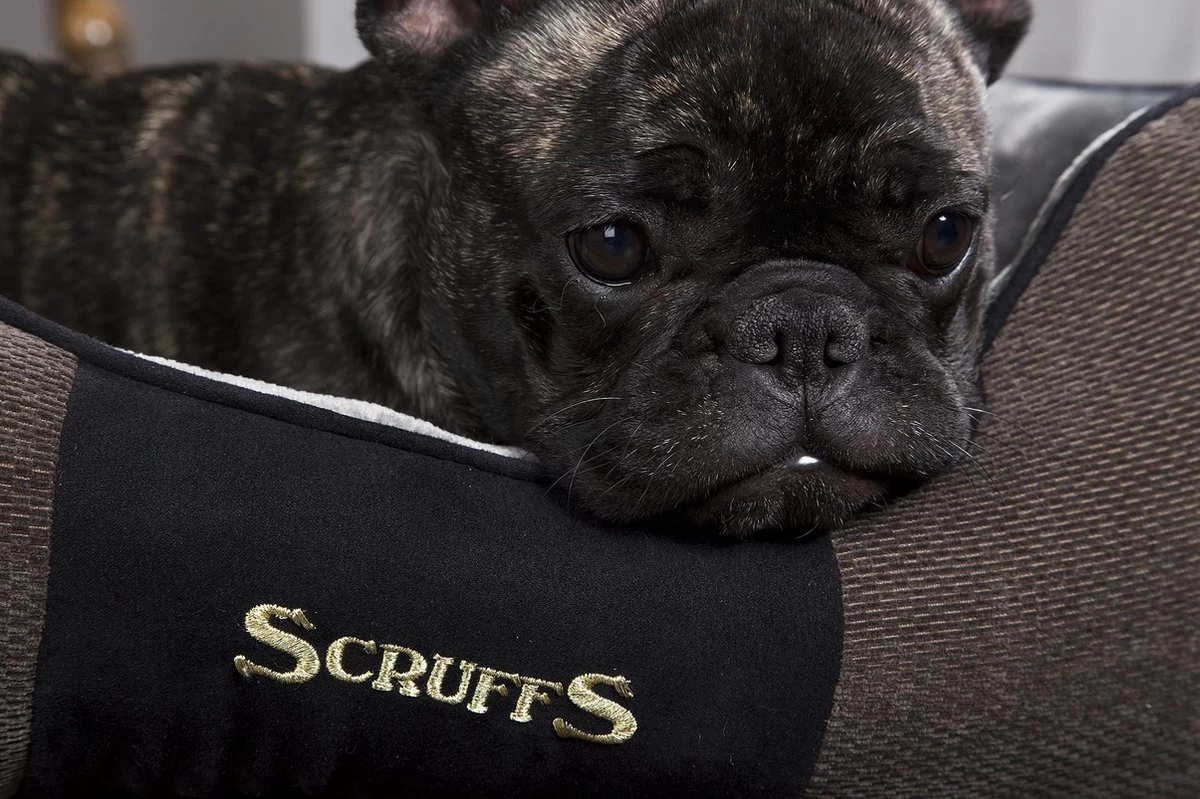 Hondenmand Zacht En Stevig, Anti-Slip En Wasbaar - Scruffs Chester Box Bed - In Grijs En Bruin In Maat S Tot XL - Kleur: Grijs, Maat: Extra Large - Afbeelding 6