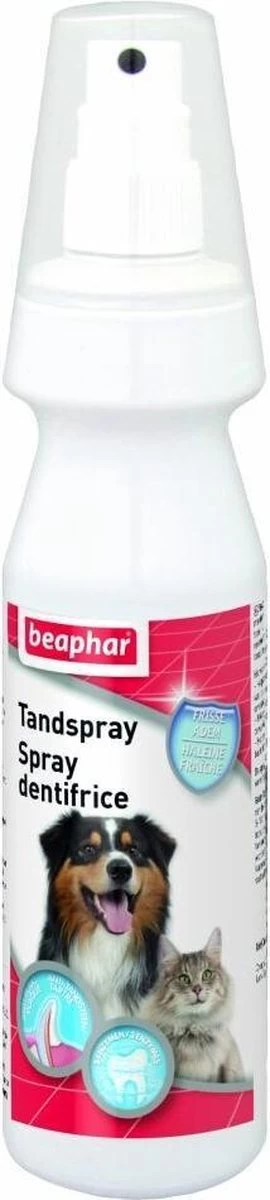 Beaphar Tandspray 150 Ml - Afbeelding 4