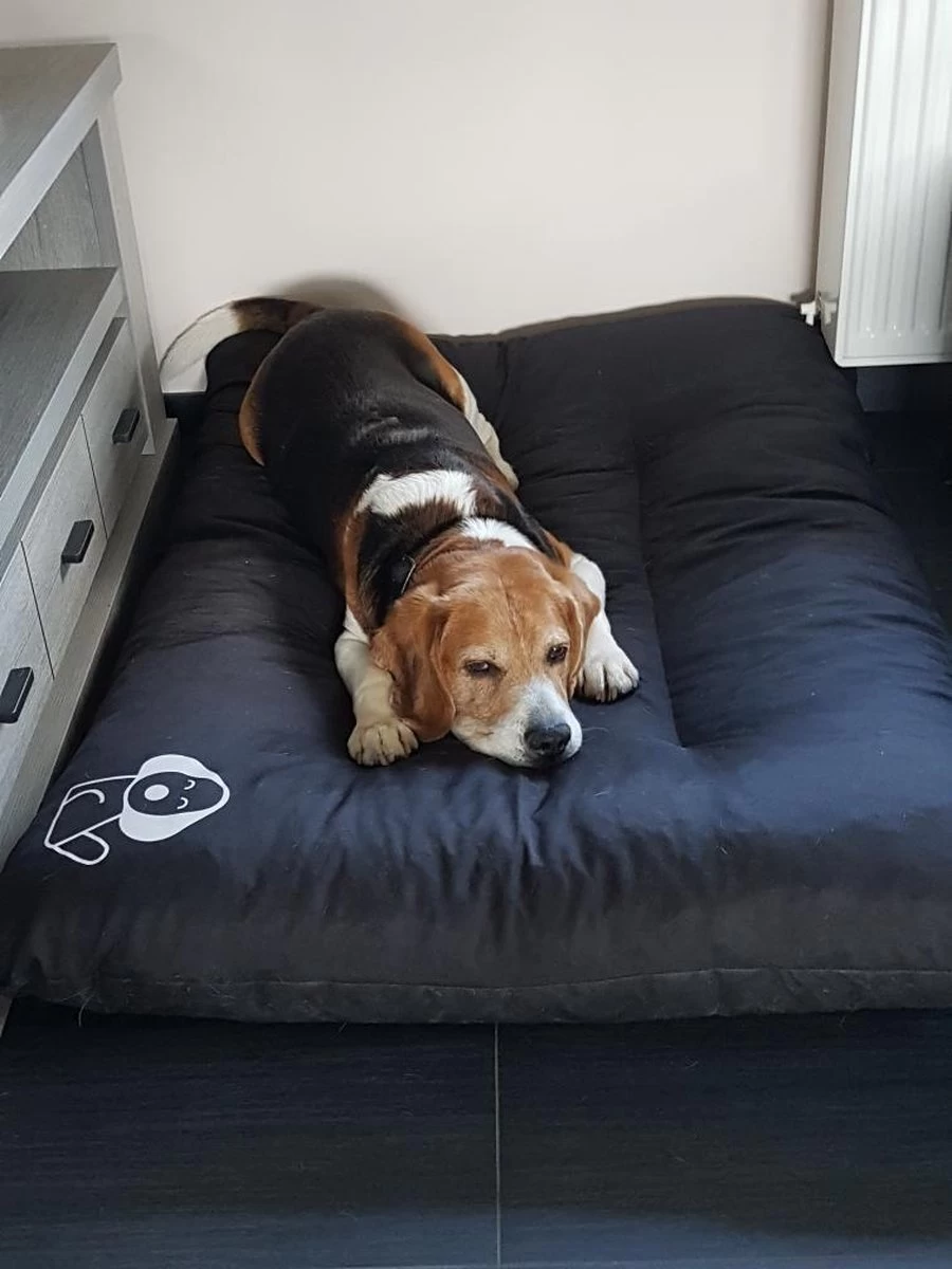 Hondenkussen XL - Donkergrijs - 60 X 90 X 12 - Afbeelding 6